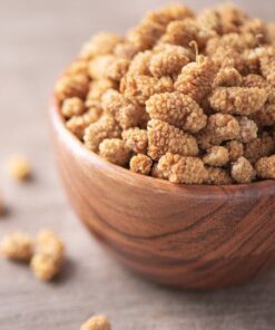 dutkurusumemleketinizden.com